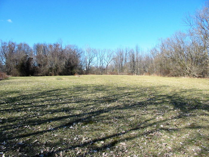 Walled Lake Drive-In Theatre - April 2003 Photo Of Lot